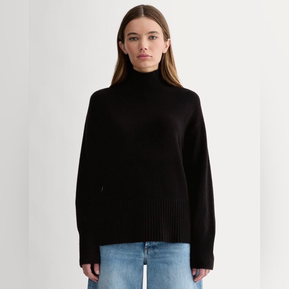 Everlane The Boxy Turtleneck in Cashmere